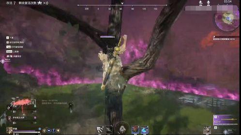 永劫吃瓜直播在哪看,揭秘观看途径与热门内容