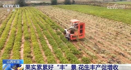 映红网,聚焦时代脉搏，解码社会热点