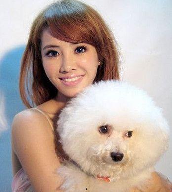 明星亲亲宠物,明星与宠物的甜蜜亲亲瞬间