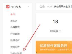 申请开通头条小店要求,头条小店申请攻略全解析