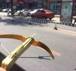 弩网红,揭秘网络红人背后的神秘弩文化