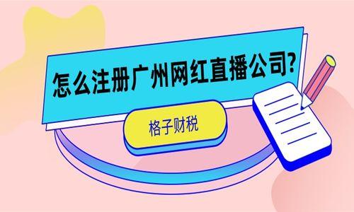 网红公司经营范围,打造新媒体生态圈