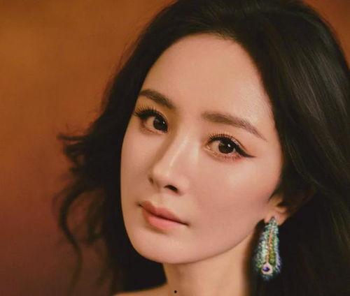 明星的下,明星子女的璀璨人生