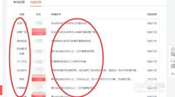 头条账号权限怎样开通的,如何轻松开通高级功能