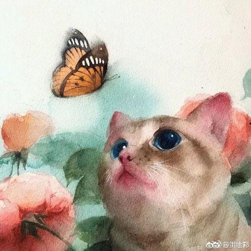 奇喵文化明星,魅力无限