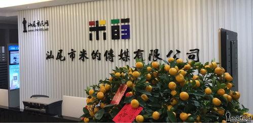 汕尾市民网今日头条,聚焦汕尾最新动态，解码城市发展新篇章