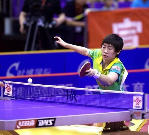 乒乓球圈内人爆料视频大全,揭秘精彩瞬间与幕后故事