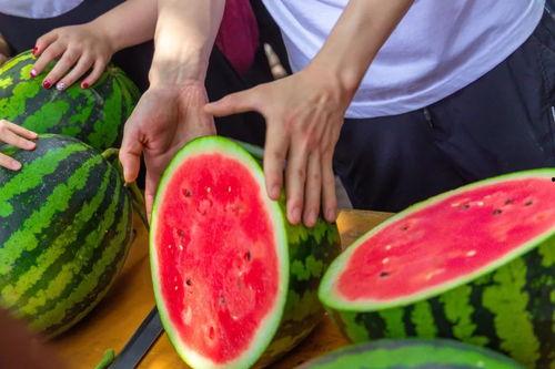 王大炮吃瓜免费,揭秘娱乐圈幕后真相