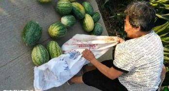 学校天台瓜最新爆料,独家爆料带你走进校园八卦风云”