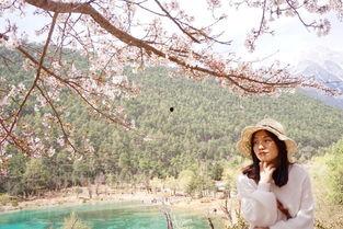 昆子的春天微头条,探寻春日里的诗意与美好