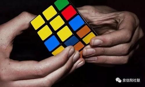 明星的魔方,揭秘偶像们的智力游戏与生活智慧