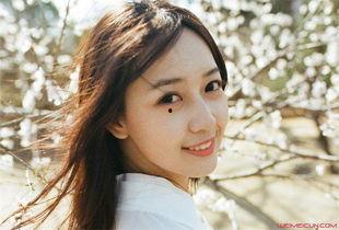 秦姐看紫料,紫料背后的神秘魅力