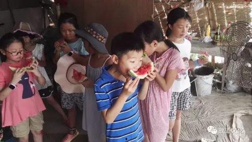 吃瓜心急短剧,揭秘娱乐圈背后的秘密