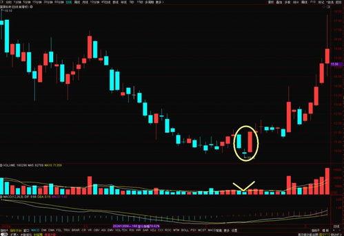 启明星 k线,揭示市场转折点的神秘信号