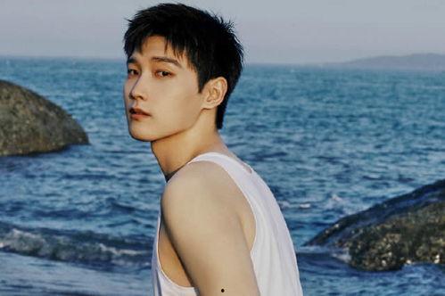 童什么明星,从童星到明星的华丽转身